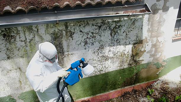 Top rated local Commercial Mold Remediation specialists in Dry Run, PA